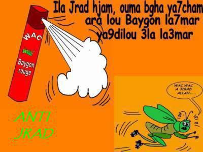 ..............................